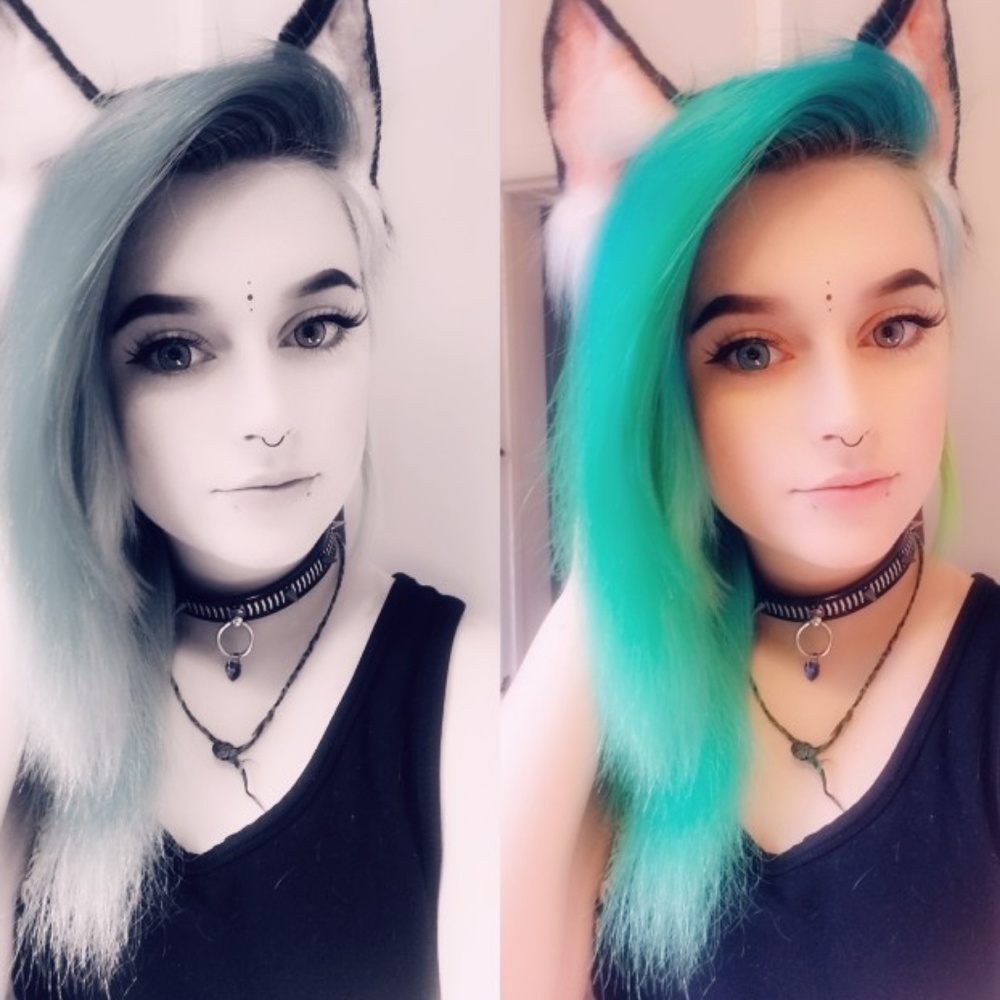 Meet your Posher, Cheyenne